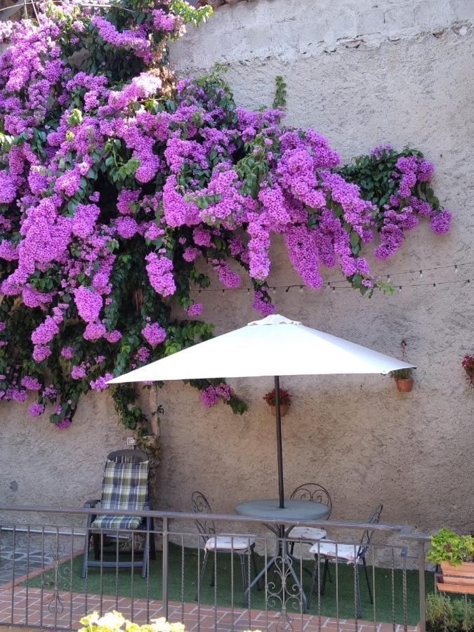 Il Giardino Di Laura Toscolano Maderno Exterior foto